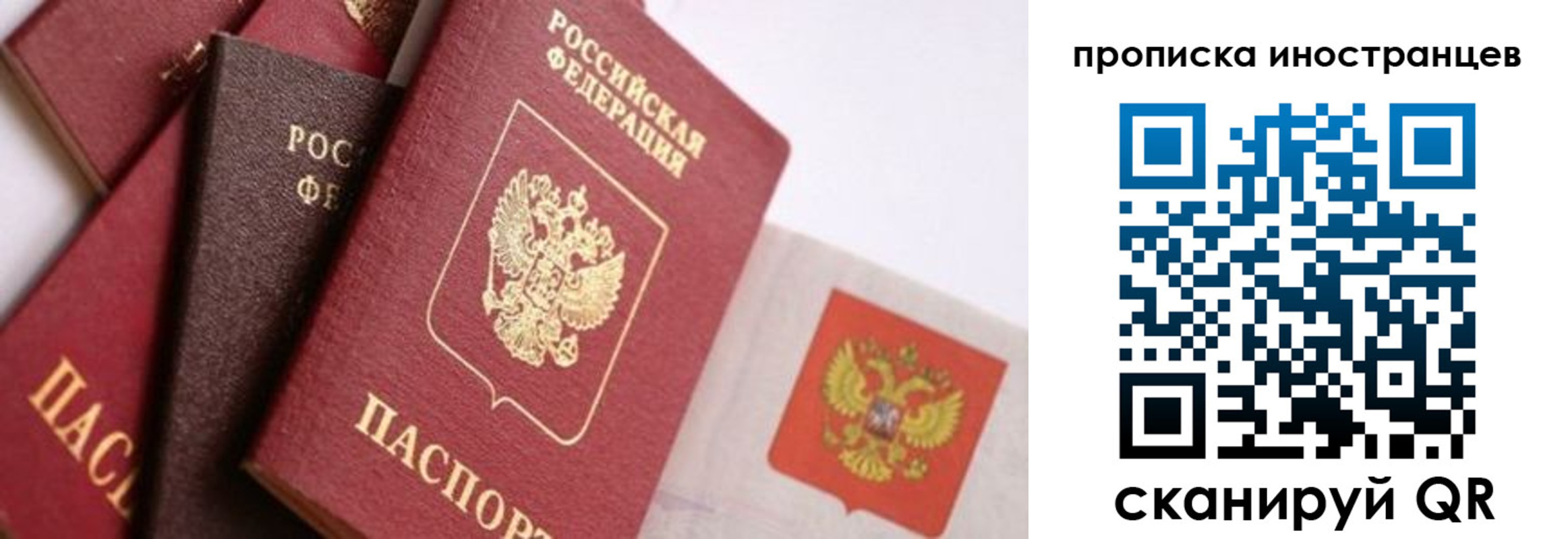 регистрация для школы в Воронежской области